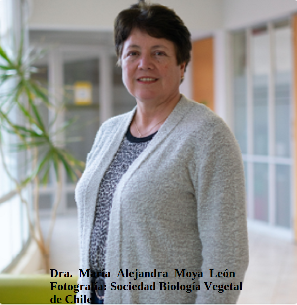 Dra. María Alejandra Moya-León