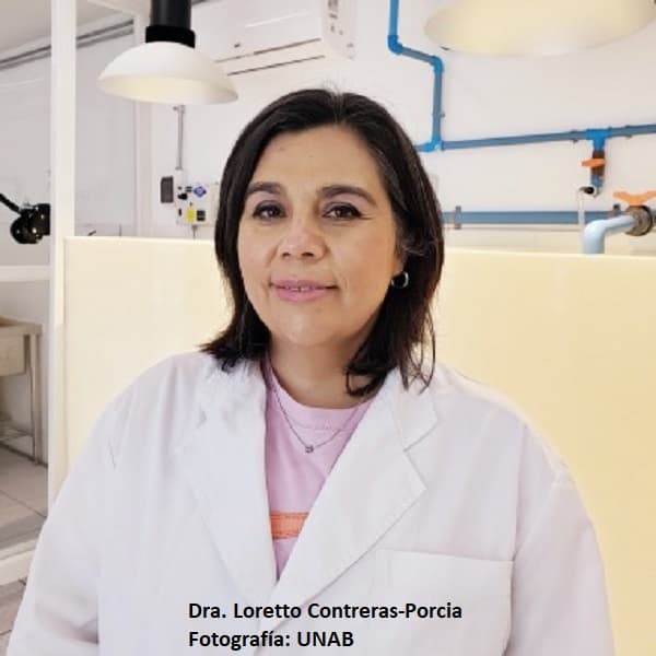 Dra. Loretto Contreras-Porcia