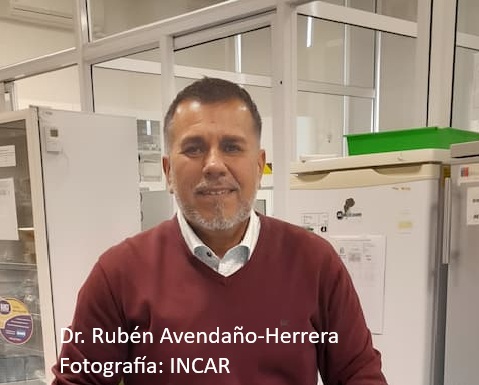 Dr. Rubén Avendaño-Herrera
