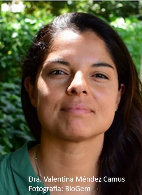 Dra. Valentina Méndez Camus